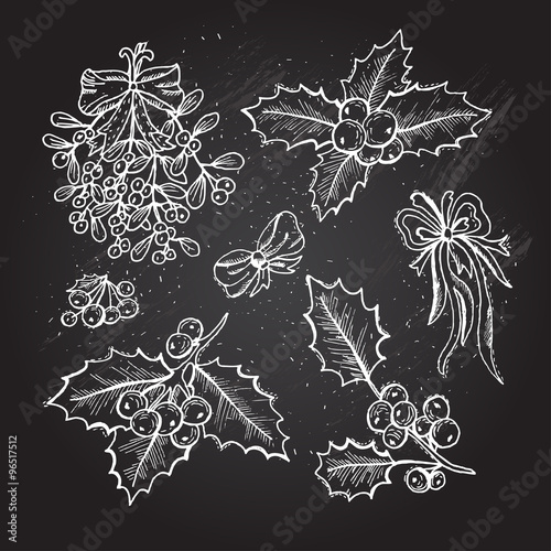 hand drawn holly berries set