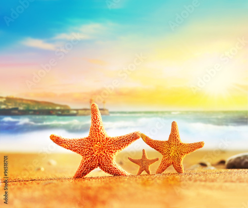 Family of starfishes on the summer beach © Belight