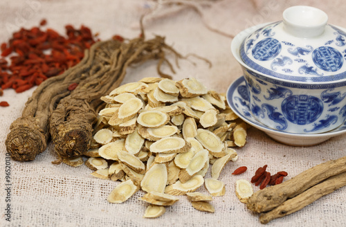 astragalus,