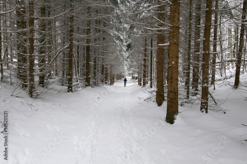 Hiker in snowy forest
