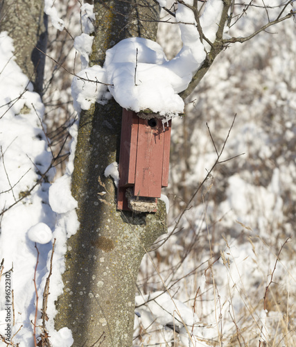 Red Birdhouse Covered in Snow