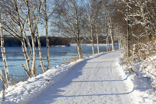 Winter Landscape in Umeå, Sweden