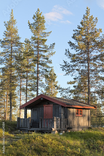 Shack in the Forest