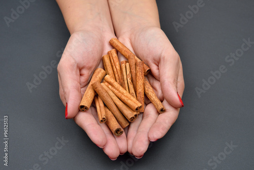 Woman's hands holding brown pods cinnamon isolated on black back