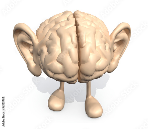 human brain with big ears and legs