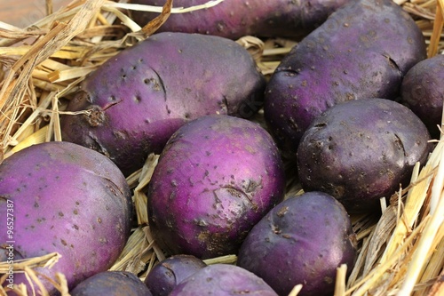 Violette Kartoffeln 