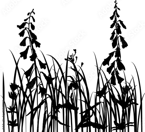 Fototapeta Naklejka Na Ścianę i Meble -  vector silhouettes of wild herbs and flowers