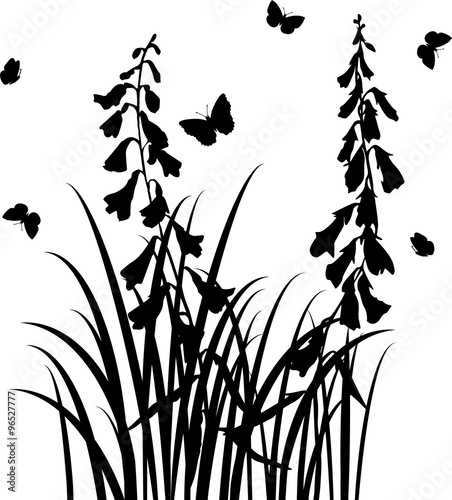Fototapeta Naklejka Na Ścianę i Meble -  vector silhouettes of wild herbs and flowers