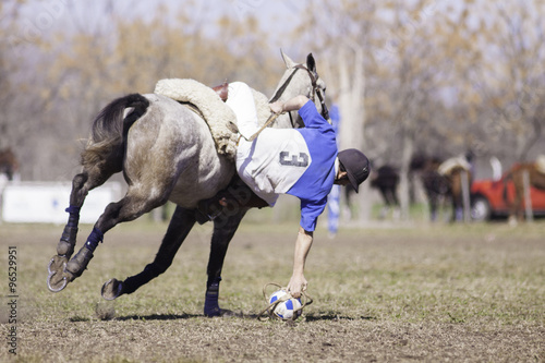 caballos deporte equino photo