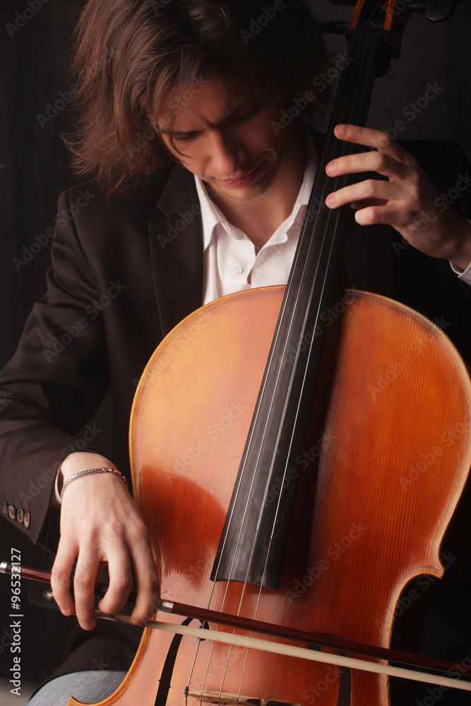 the young handsome tidy man in a suit the musician the cellist the young handsome tidy man in a suit the musician the cellist