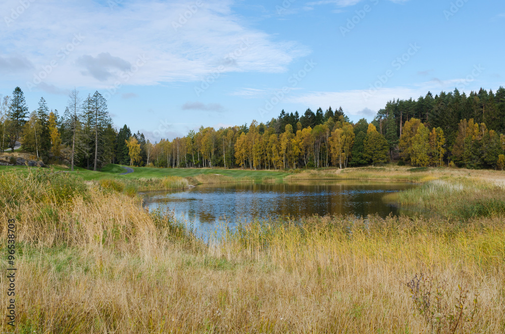 Autumn at golf cource