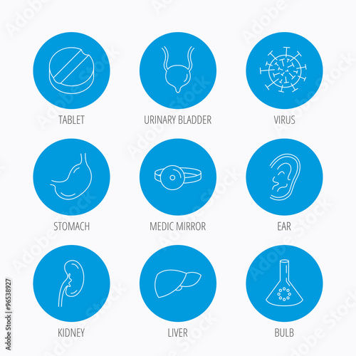 Virus, tablet and stomach organ icons.
