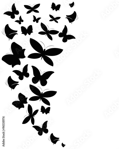 butterflies design