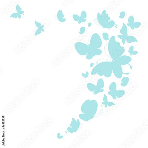 butterflies design