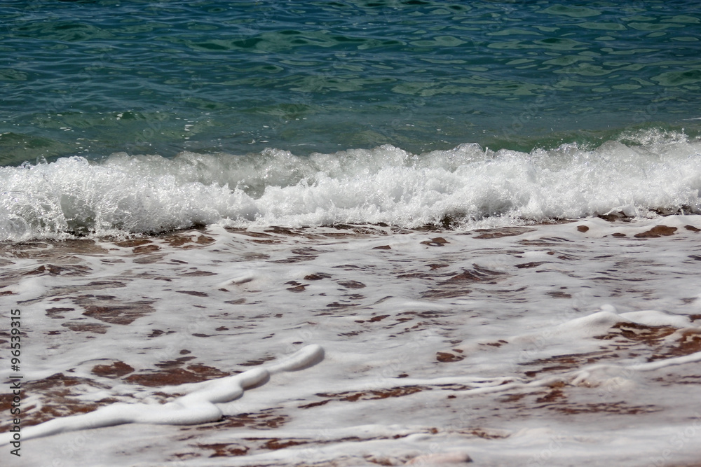 Surf Surf
