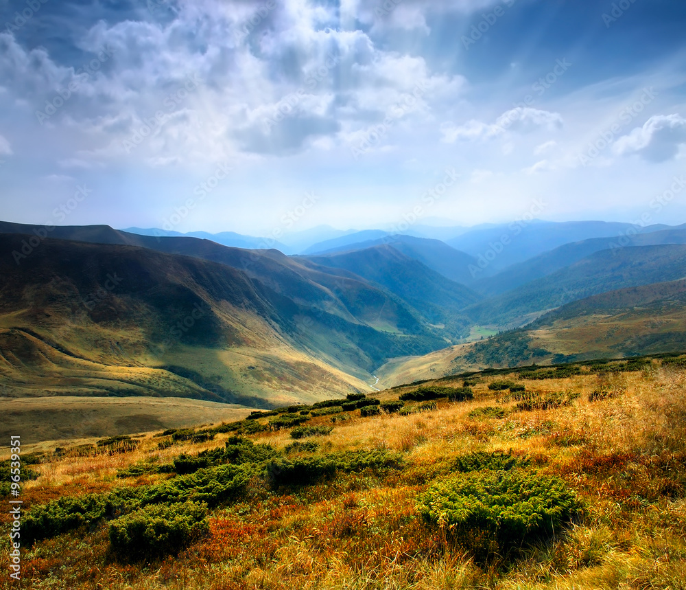 Fototapeta premium The majestic panorama of mountains Carpathian reserve. Europe