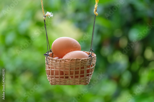 eggs on basket