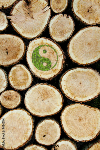 Stacked Logs, Natural Background #96542101