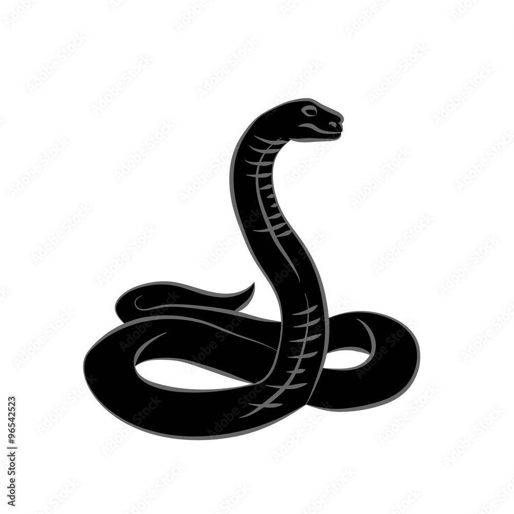 Fototapeta premium Vector. Black snake.