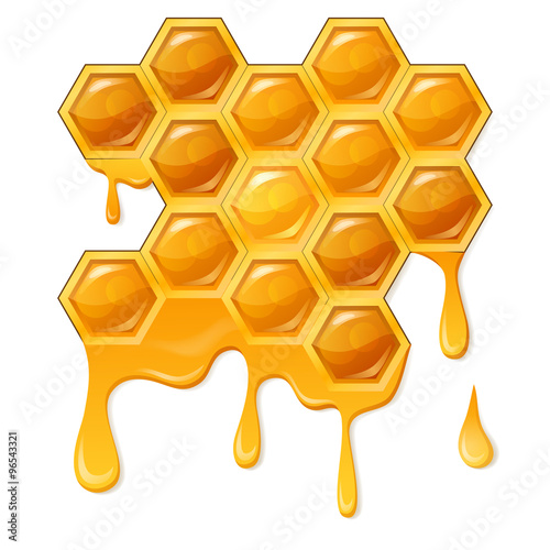 Honeycomb with honey