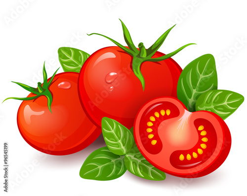 Fresh tomatoes with basil on white background