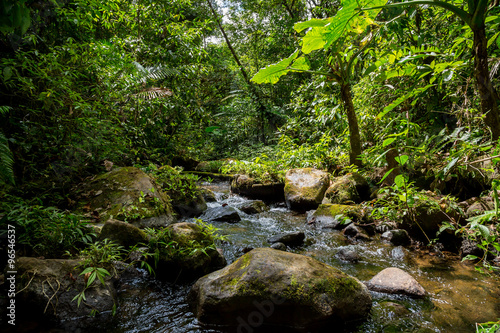 ein kleiner Fluss im gr  nen dichten Dschungel in Costa Rica