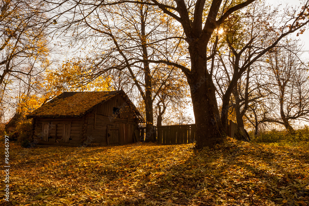 Abandoned wooden house in golden autumn