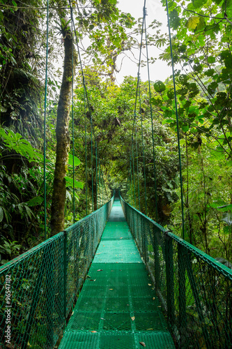 Fototapeta Naklejka Na Ścianę i Meble -  eine Brücke im Regenwald