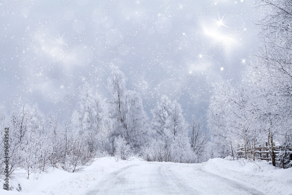 Fototapeta premium Winter road