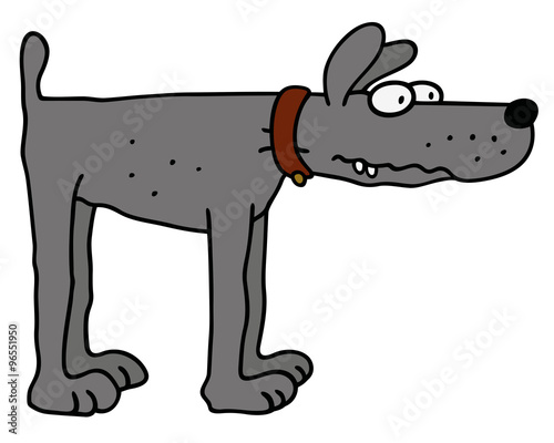 Funny gray dog / Hand drawing, vector illustration