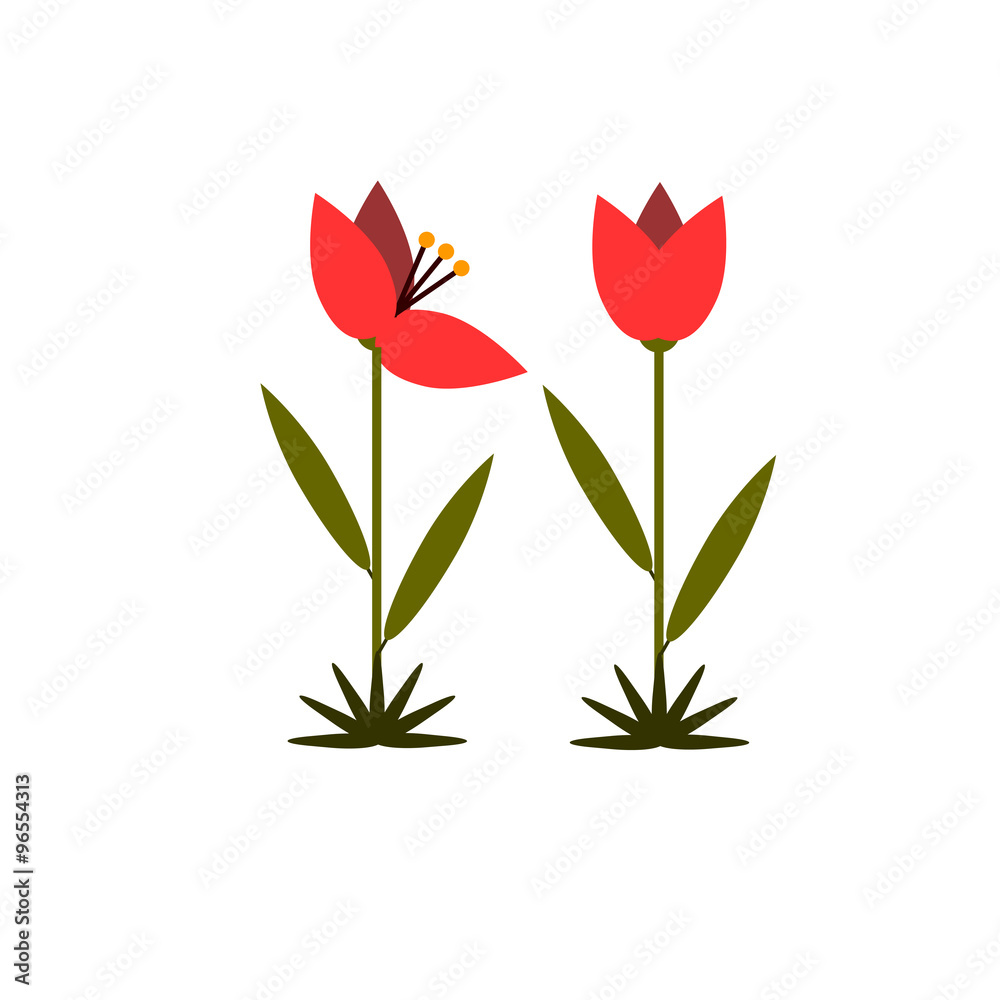Tulip color flat icon
