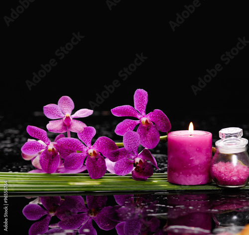 Spa set and long leaf on wet background