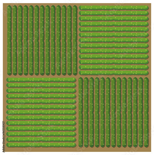 Simple pattern of crop