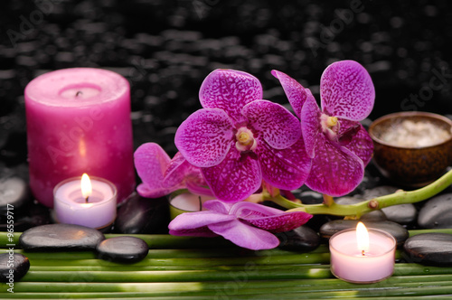 Spa set and long leaf on wet background