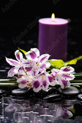 Beautiful branch orchid with candle and therapy stones 