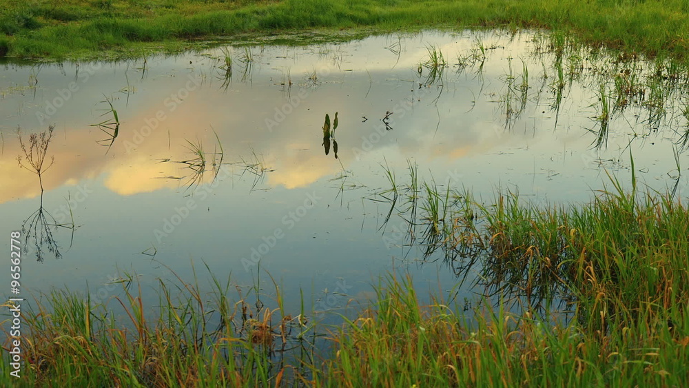 Spring landscape in the morning, countryside sky and clouds reflected on pond Spring landscape in the morning, countryside sky and clouds reflected on pond