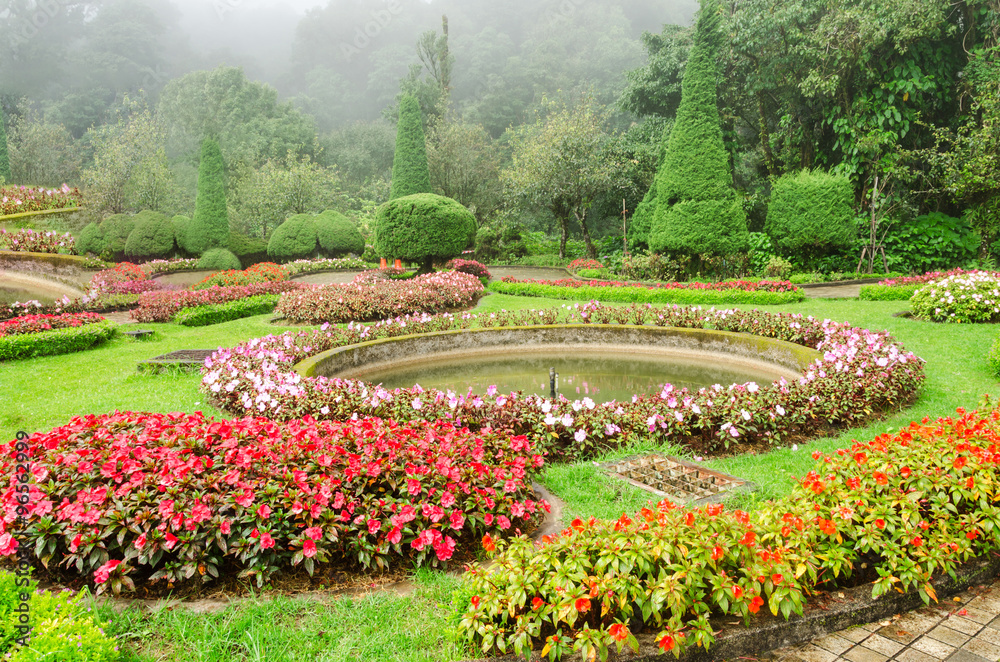 colorful flower in beautiful garden at Doi Inthanon national park,Thailand