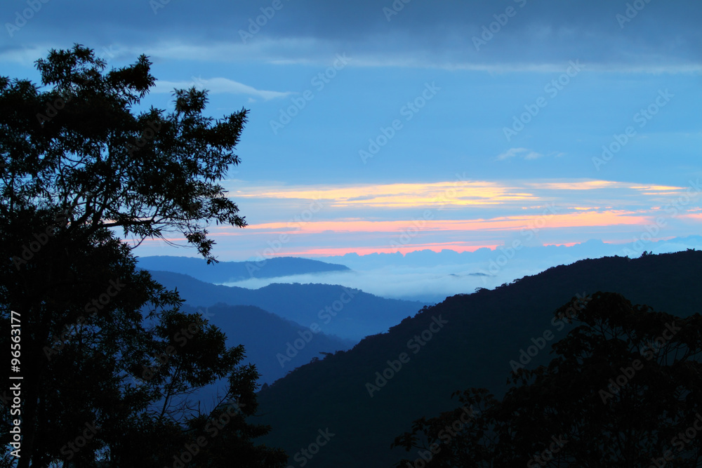 Cameron Highland, Malaysia..