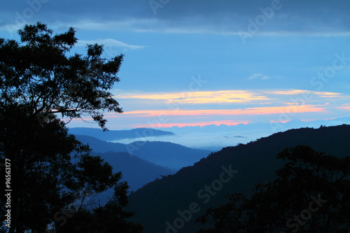 Cameron Highland, Malaysia..