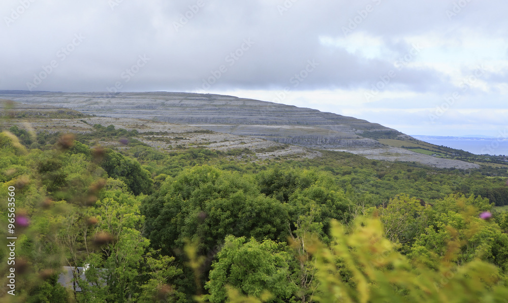 Fototapeta premium Picturesque landscape in Connemara National Park
