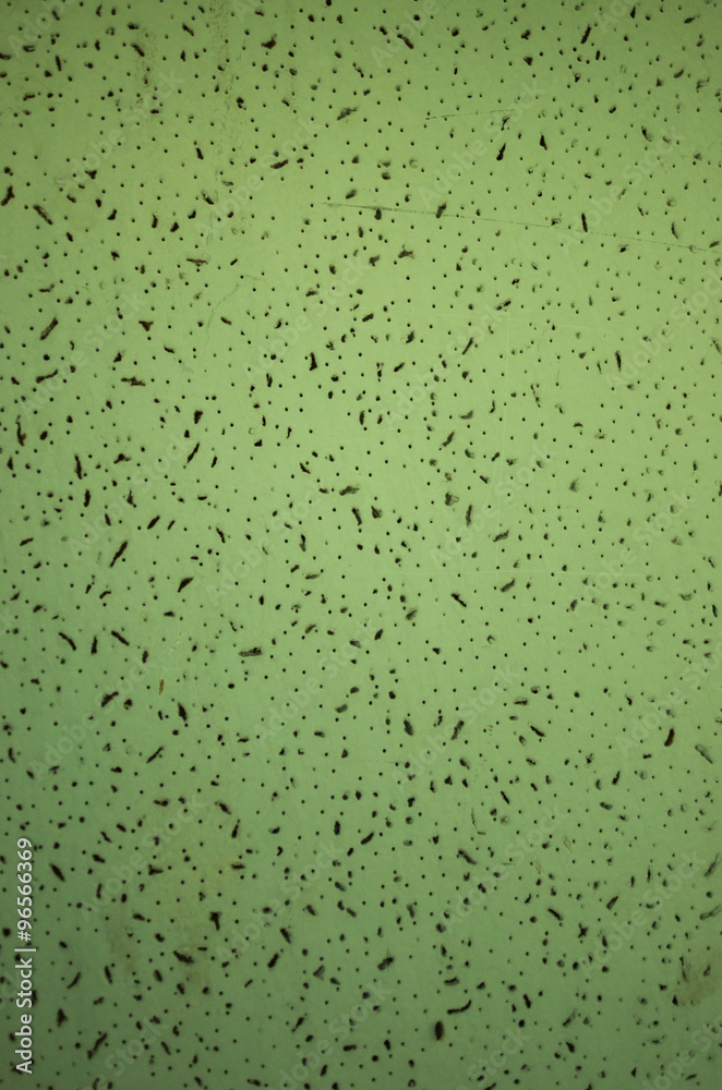 Wall Foam texture background green Wall Foam texture background green