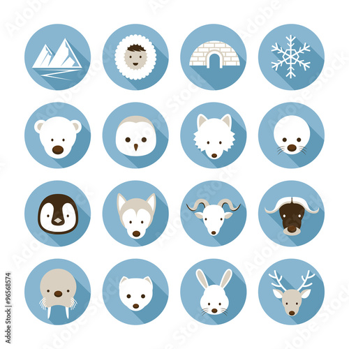 Arctic Animals Flat Icons Set, Winter, Nature Travel and Wildlife