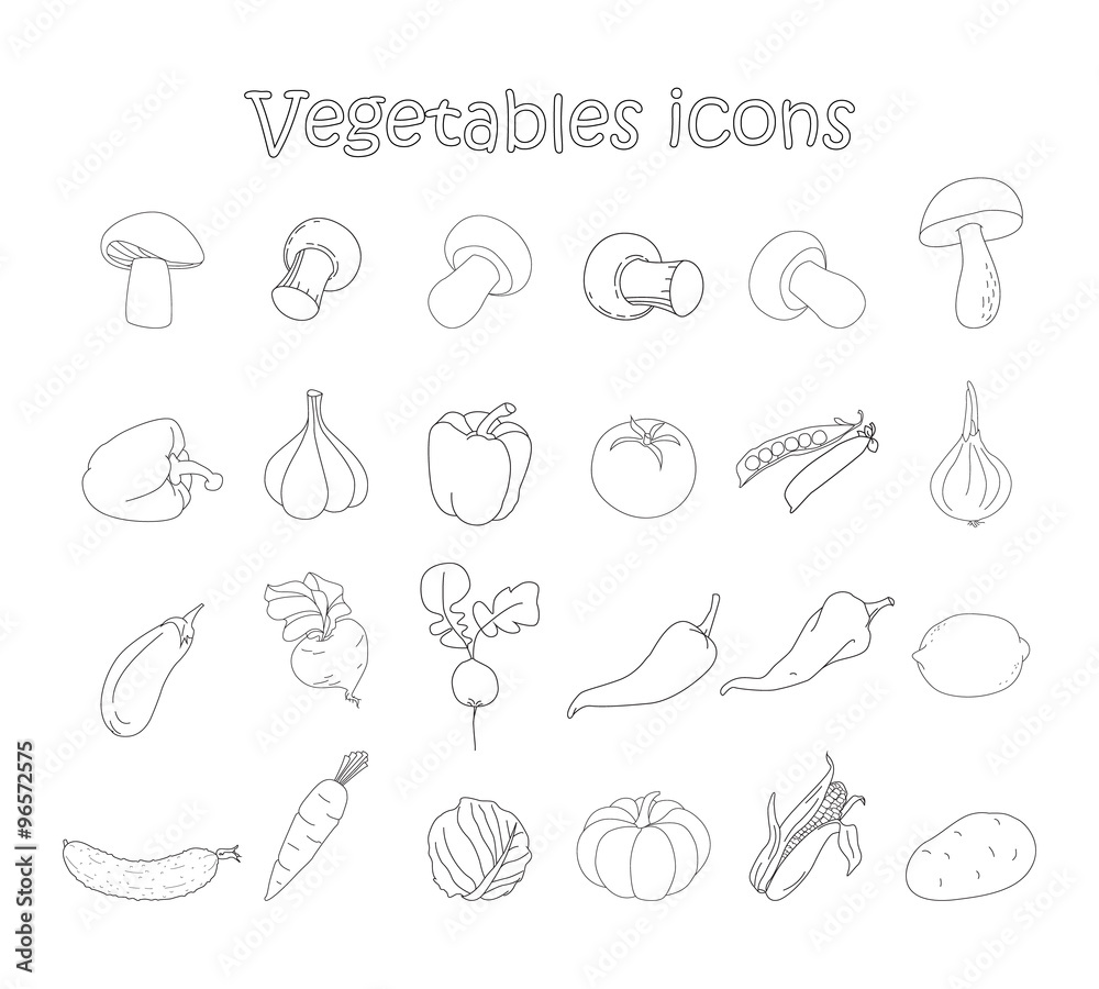 Vector collection of vegetables
