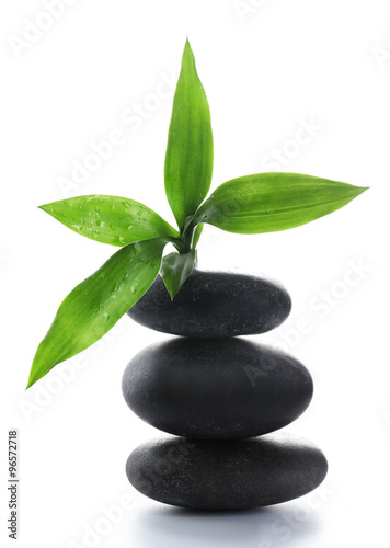Black spa stones and green flower, isolated on white
