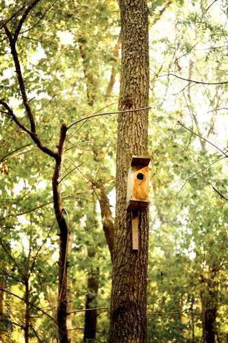 Birdhouse in a tree