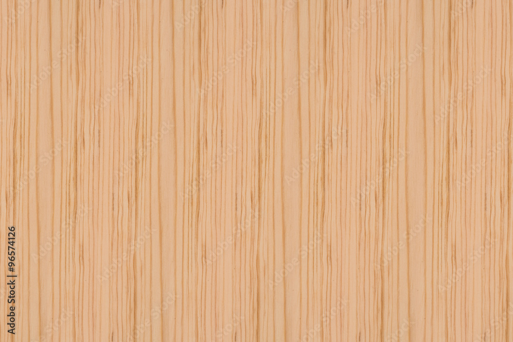 Texture of wood background closeup Texture of wood background closeup