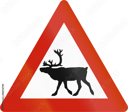 Norwegian road warning sign - Stag crossing photo