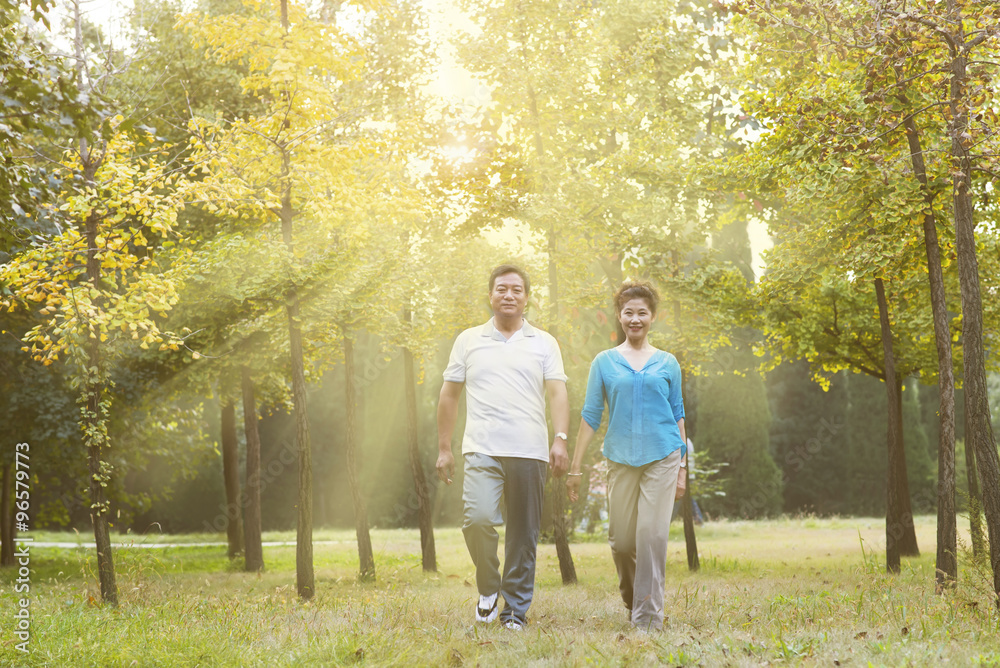 elderly couple walking in the morning elderly couple walking in the morning