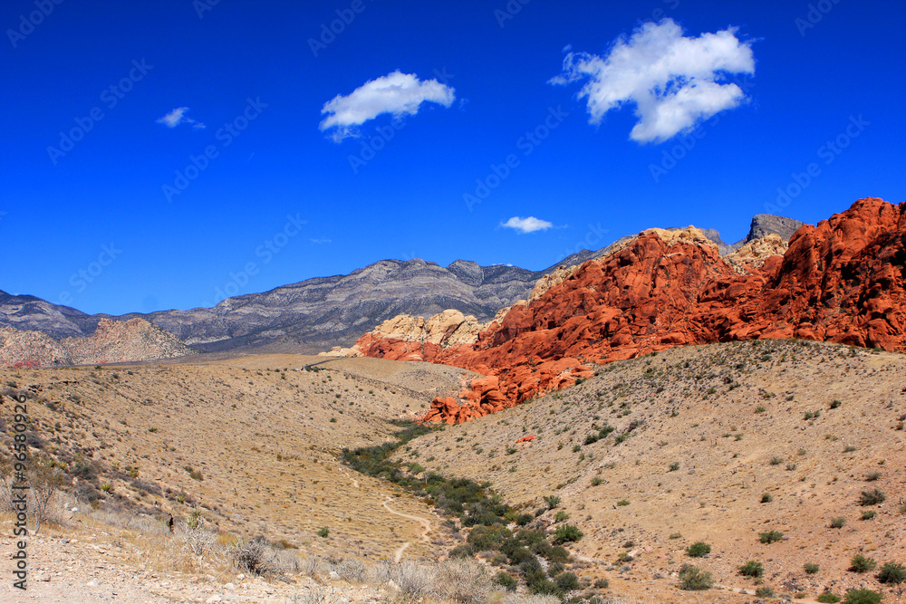 Fototapeta premium Colorful rocks at the Red Rock Canyon National Conservation Area in Nevada, USA