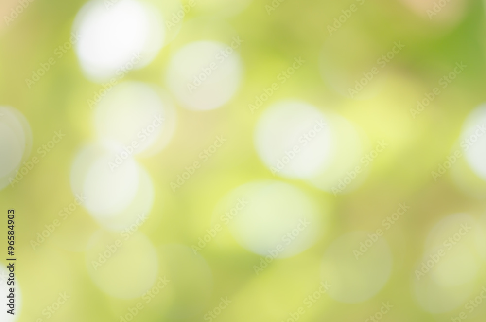 Abstract nature green blurred background Abstract nature green blurred background